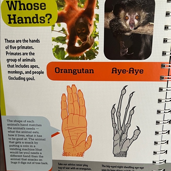 Klutz The Hand Book - Build a Skeleton Hand Kit - Picture 9 of 14